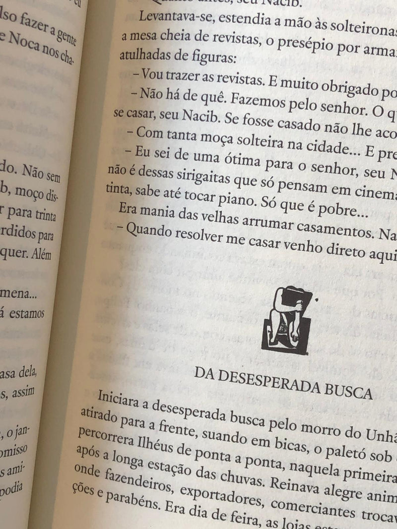 Gabriela, Cravo e Canela: Crônica de uma cidade do interior