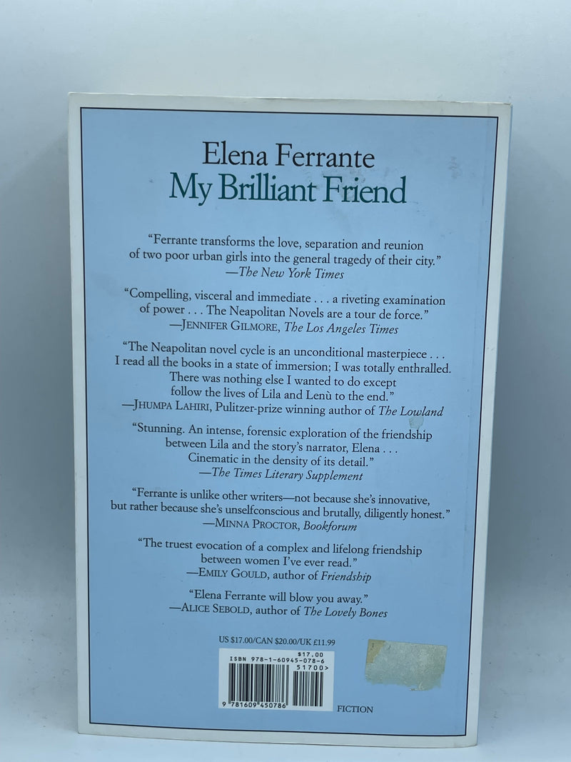 My Brilliant Friend